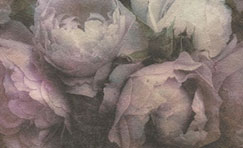 Mauve and gray