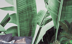Jungle leaf
