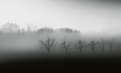 Noir et blanc