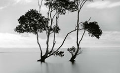 Noir et blanc