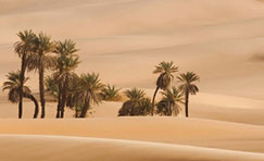 Savane