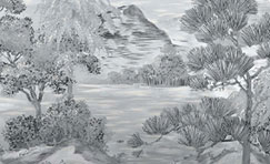 Toile