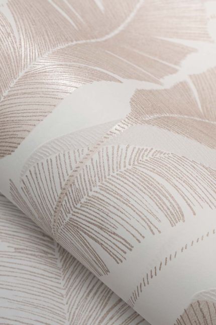 Iva Creme Beige D5