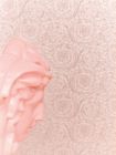 Versace — Cleopatra Rose Gold