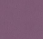 Helene Purple