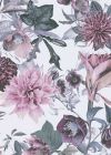 Lila Grey Lilac 