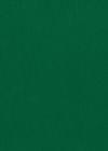 Matthieu Dark Green