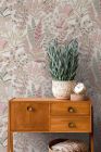 Plante Pink Cream