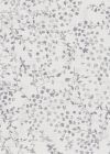 Hermine Grey Silver