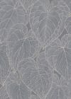 Anouk Grey  