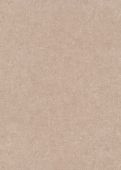 Échantillon Jane Beige Foncé 