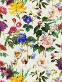 Échantillon Marguerite Colorée 