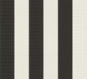 Échantillon Noé Noir Crème