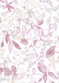 Échantillon Stéphanie Rose Crème 