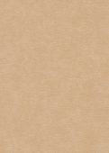 Échantillon Martin Beige Ocre
