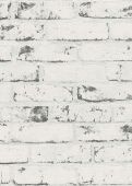 Échantillon Maxence Beige Gris 
