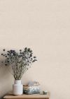 Jane Beige Clair 