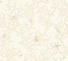 Thalassa Crème 
