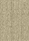 Cassandre Beige Gris 
