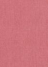 Maximilien Rose Rouge 