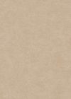 Yves Or Beige 
