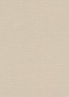 David Beige 
