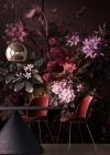 Ysolde Noir Rose