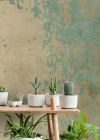 Aglaé Beige Vert