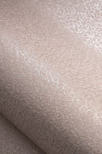 Daria Taupe - hover