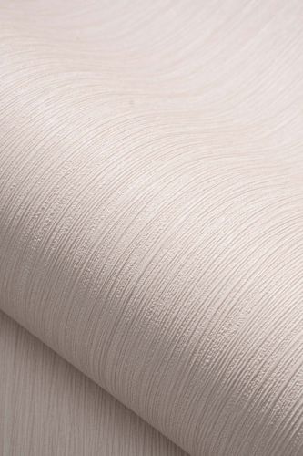 Bianca Rose Pâle  - hover