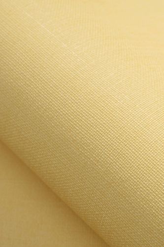 Sélinor Jaune - hover