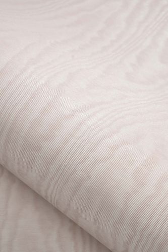 Tristan Rose - hover