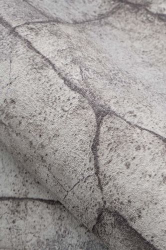 Dimitri Gris Pierre - hover