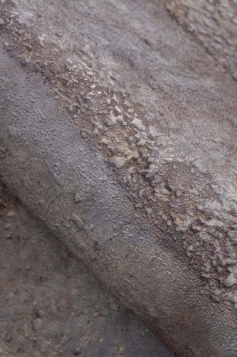 Yury Gris Sable - hover