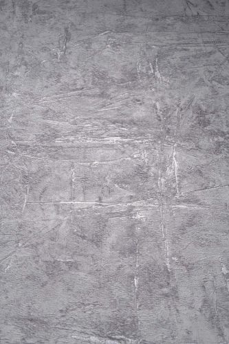 Dinara Gris