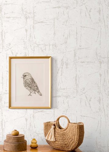 Traci Blanc Craie - hover