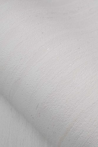 Paul Blanc Cassé - hover