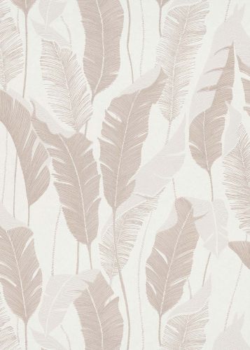 Iva Beige Crème  - hover