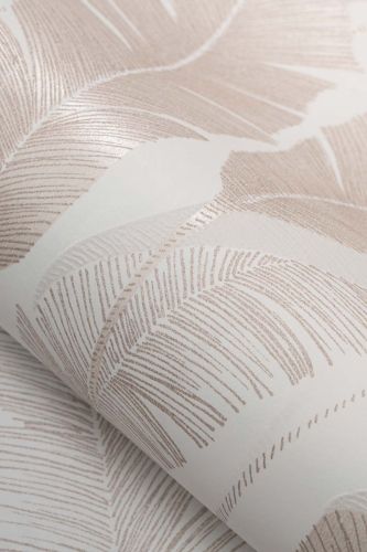 Iva Beige Crème  - hover