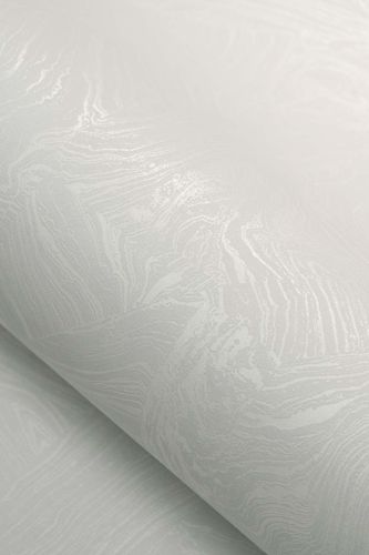 Sierra Coquille D'œuf 
