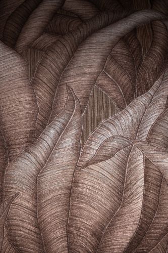 Calypso Bronze - hover