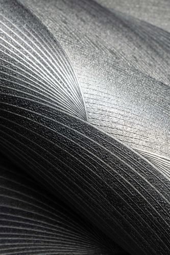 Nami Argenté - hover