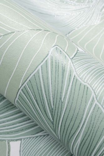 Amine Vert Clair  - hover