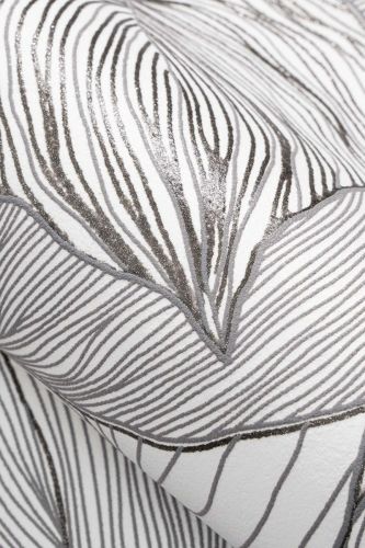 Amine Noir Blanc  - hover