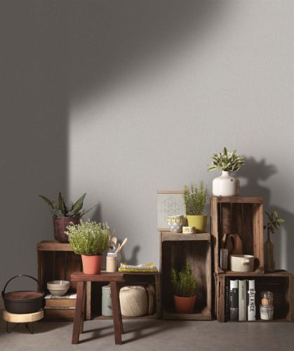 Vivian Gris Beige - hover