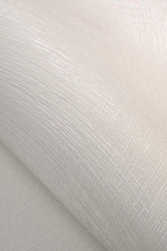 Elian Coquille D'œuf  - hover