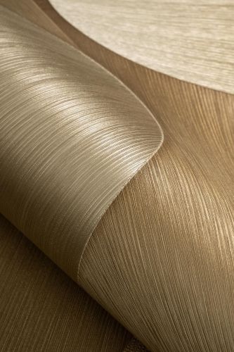 Angélica L'or  - hover