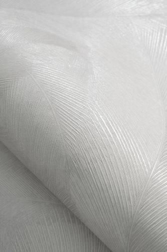 Avrelle Blanc  - hover