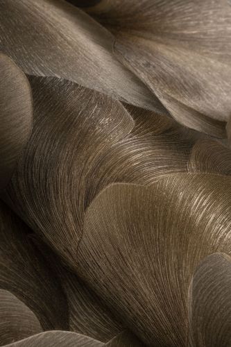 Glycère Marron  - hover