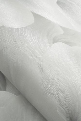 Glycère Gris Clair  - hover